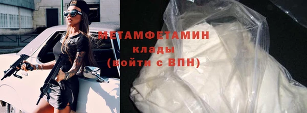 индика Бородино