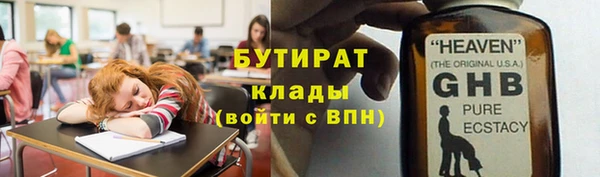 индика Бородино