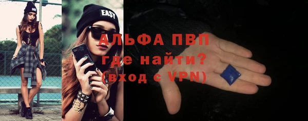 индика Бородино
