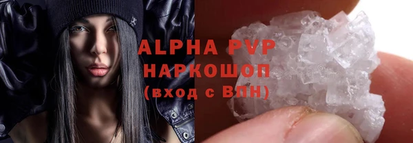 индика Бородино
