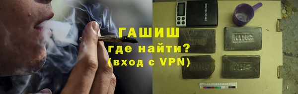 индика Бородино