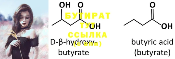 индика Бородино