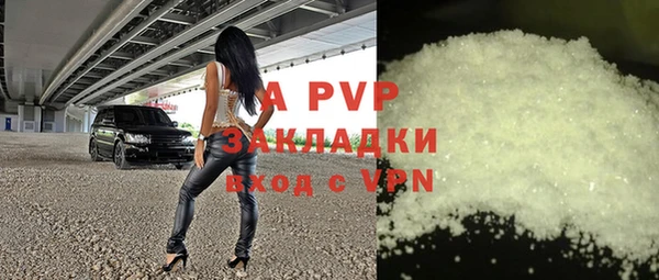 индика Бородино