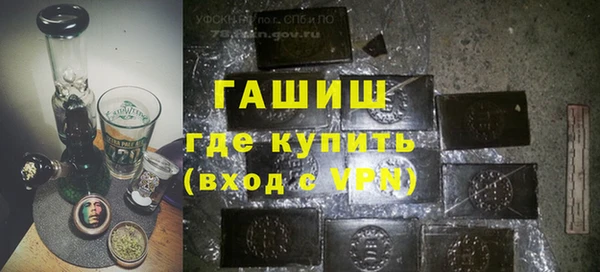 индика Бородино