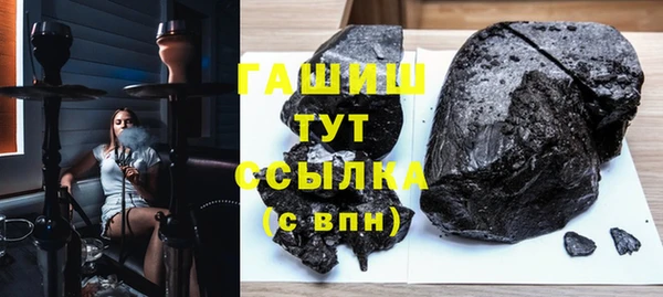 индика Бородино
