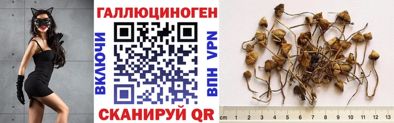 Галлюциногенные грибы Cubensis  что такое наркотик  Верхняя Тура 